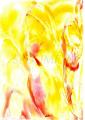 Apollon